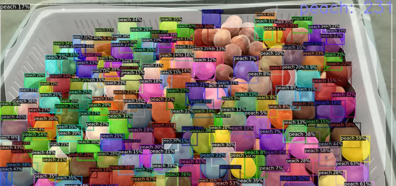 Descriptive text for the image